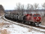 CP 8951